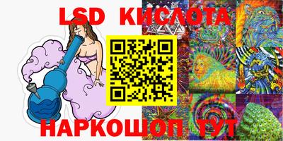 амф Сланцы