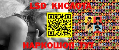 амф Сланцы