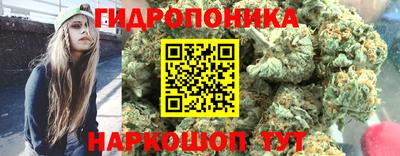ГАЛЛЮЦИНОГЕННЫЕ ГРИБЫ Славгород