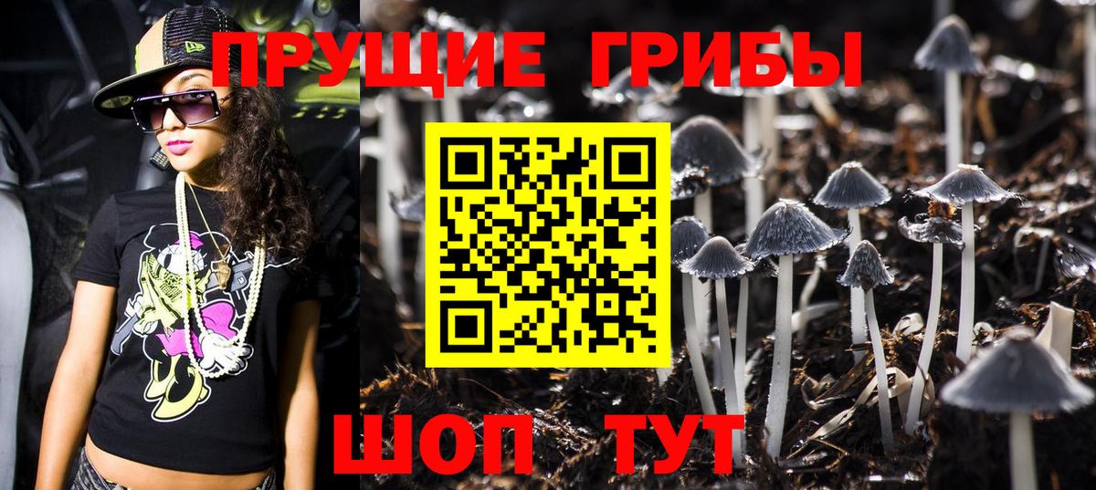 Галлюциногенные грибы Psilocybine cubensis  Галлюциногенные грибы Psilocybe  Вход с VPN  Реутов 